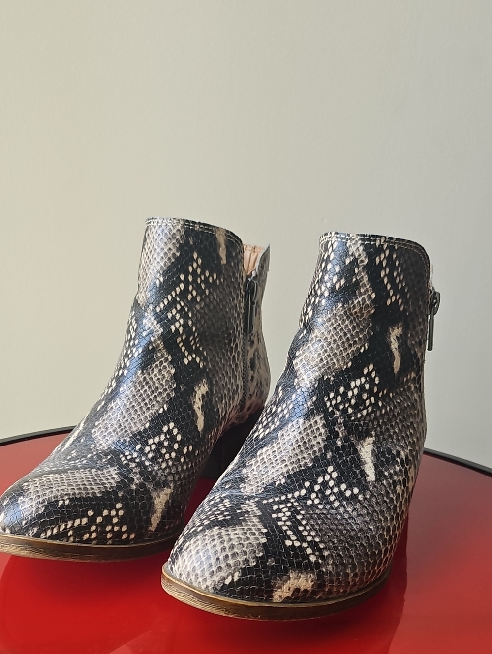 Lucky Brand Python-Print Ankle Booties in Black and Cream